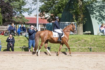 Bild 102 - Pony Akademie Turnier